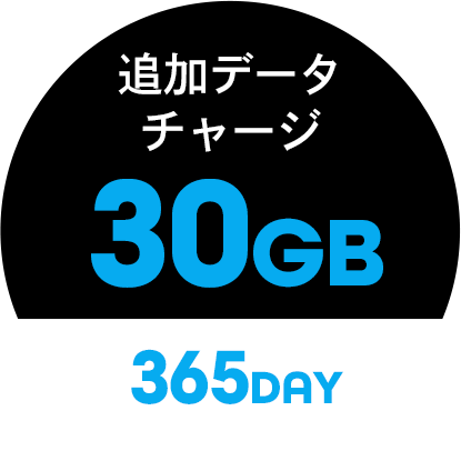 追加データ30GB/365day 商品画像