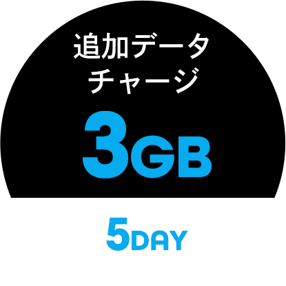 追加データ100GB/30day 商品画像